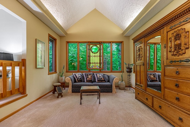 4303 Singleton Close, Rockford, IL 61114 - living area with vaulted ceiling, light colored carpet, and a textured ceiling