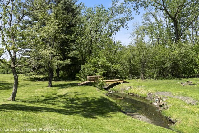 8315 Kearney Rd, Downers Grove, IL 60516 - photo 33