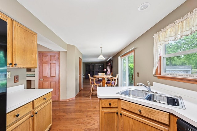 561 Ryegrass Trl, Aurora, IL 60504 - kitchen featuring light wood-type flooring, light countertops, dishwasher, a peninsula, and recessed lighting
