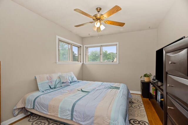 9047 Forestview Rd, Evanston, IL 60203 - photo 14