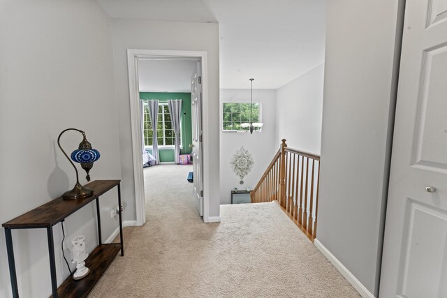 1329 New Haven Dr, Cary, IL 60013 - photo 11