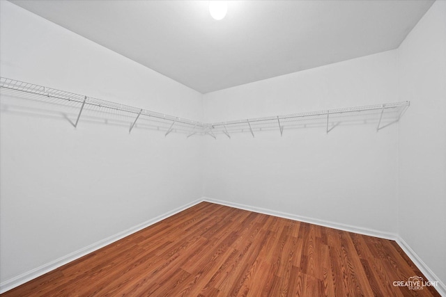 2164 Clementi Ln, Aurora, IL 60503 - walk in closet featuring wood finished floors