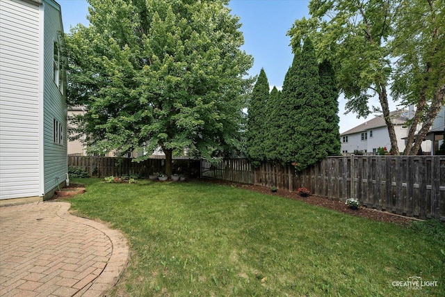 2164 Clementi Ln, Aurora, IL 60503 - view of fenced backyard