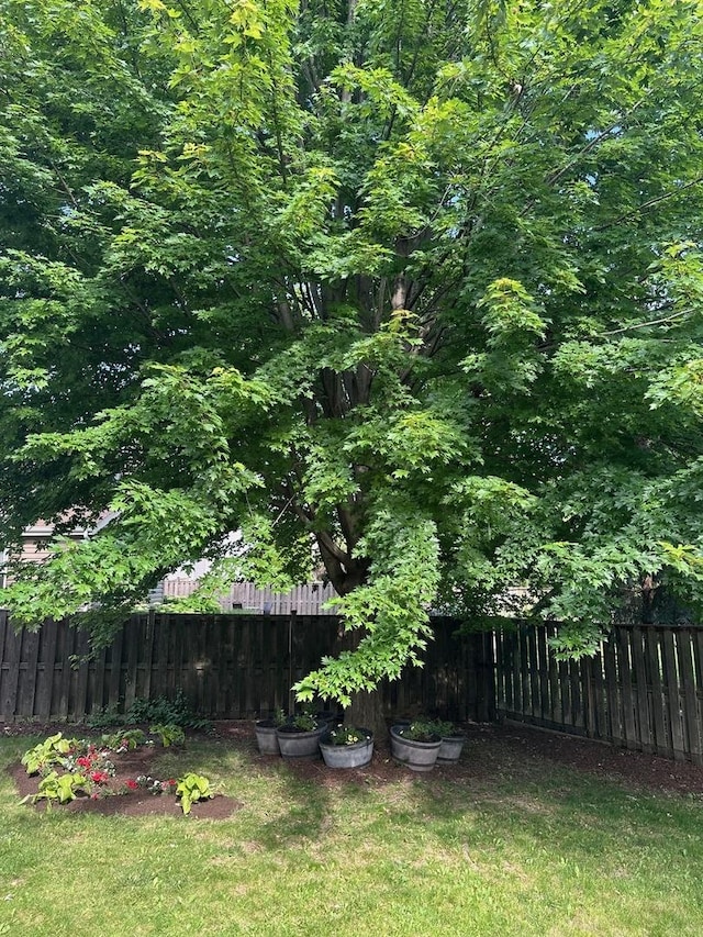 2164 Clementi Ln, Aurora, IL 60503 - view of yard