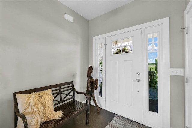 1908 Littlefield Ln, Mahomet, IL 61853 - foyer featuring wood finished floors