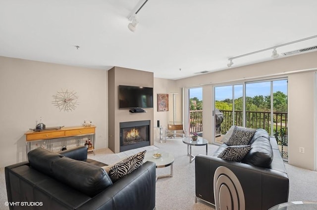 361 Kelburn Rd Unit 316, Deerfield, IL 60015 - carpeted living room featuring track lighting and a warm lit fireplace