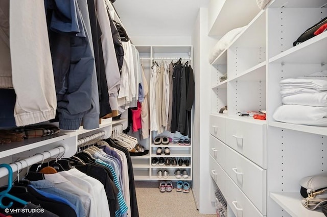 361 Kelburn Rd Unit 316, Deerfield, IL 60015 - view of walk in closet