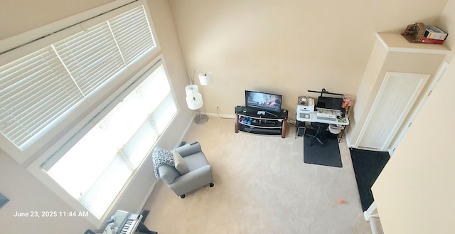 100 Hamlet Cir, Montgomery, IL 60538 - home office with carpet flooring and baseboards