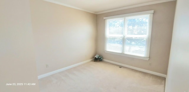 100 Hamlet Cir, Montgomery, IL 60538 - carpeted spare room featuring healthy amount of natural light and crown molding