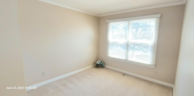 100 Hamlet Cir, Montgomery, IL 60538 - unfurnished room with ornamental molding and light colored carpet