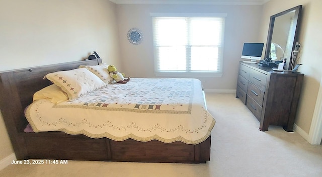 100 Hamlet Cir, Montgomery, IL 60538 - bedroom with light colored carpet and crown molding