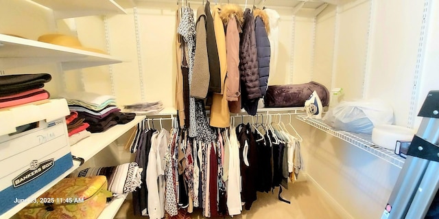 100 Hamlet Cir, Montgomery, IL 60538 - view of walk in closet