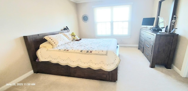 100 Hamlet Cir, Montgomery, IL 60538 - bedroom featuring light carpet and crown molding