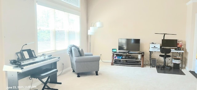 100 Hamlet Cir, Montgomery, IL 60538 - living area featuring carpet floors and a desk