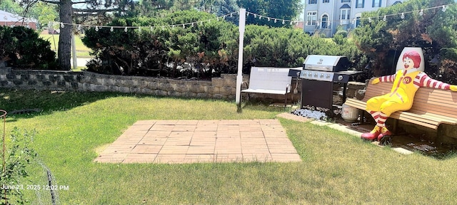 100 Hamlet Cir, Montgomery, IL 60538 - view of grassy yard