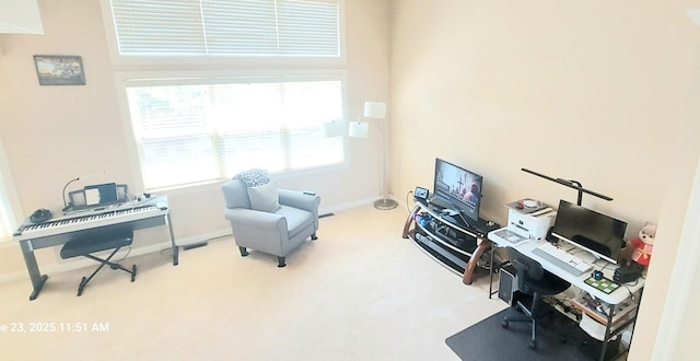 100 Hamlet Cir, Montgomery, IL 60538 - office space with carpet flooring and plenty of natural light