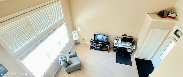 100 Hamlet Cir, Montgomery, IL 60538 - home office featuring baseboards and carpet flooring