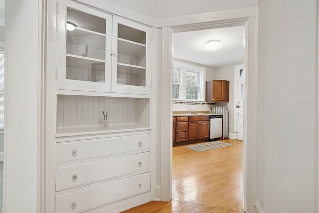 6718 N Rockwell St, Chicago, IL 60645 - photo 14