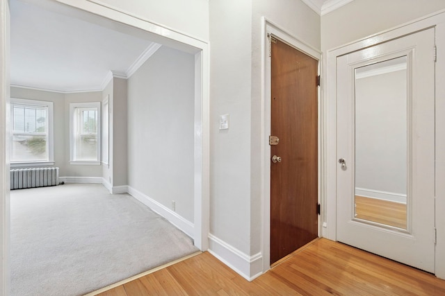 6718 N Rockwell St, Chicago, IL 60645 - photo 10