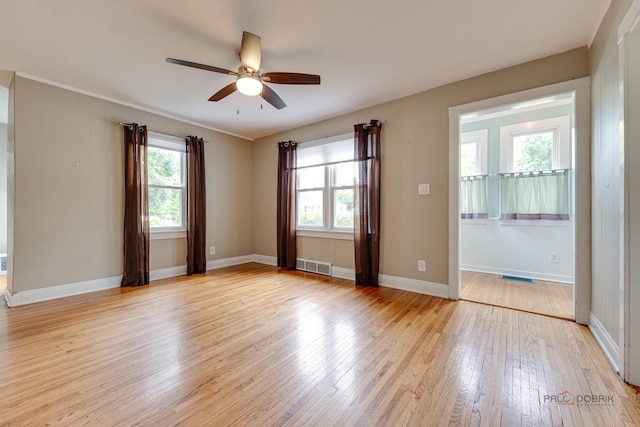 1187 Morton Ave, Elgin, IL 60120 - photo 6