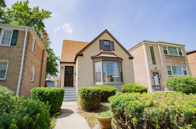 6444 N Oketo Ave, Chicago, IL 60631 - view of front of house featuring brick siding and roof with shingles