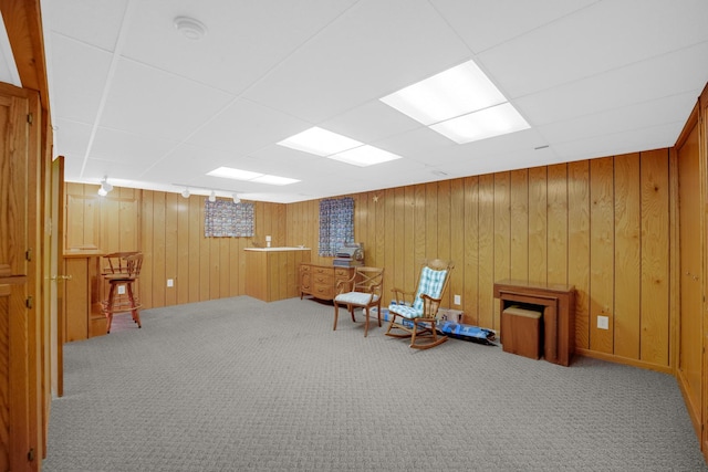 1860 Harvard Ln, New Lenox, IL 60451 - sitting room with carpet floors, a paneled ceiling, and wooden walls