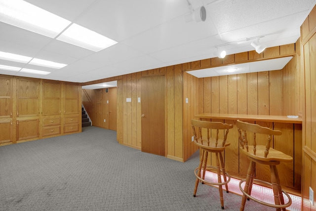 1860 Harvard Ln, New Lenox, IL 60451 - indoor dry bar with stairs, carpet floors, wood walls, and rail lighting