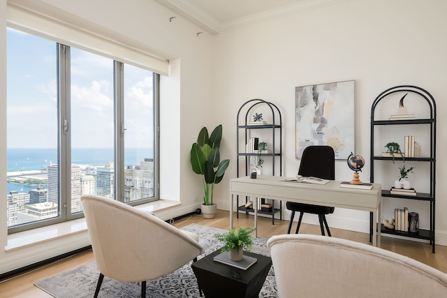 950 N Michigan Ave Unit 4502, Chicago, IL 60611 - sitting room featuring healthy amount of natural light, an office area, crown molding, light wood-style flooring, and a water view