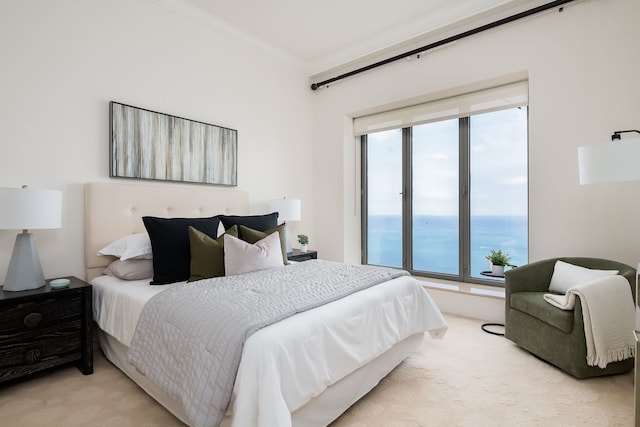 950 N Michigan Ave Unit 4502, Chicago, IL 60611 - bedroom featuring light colored carpet and crown molding
