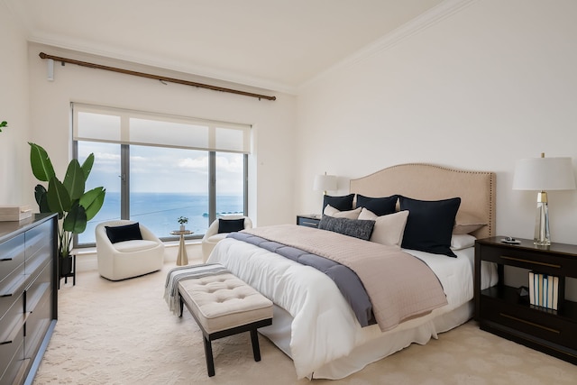 950 N Michigan Ave Unit 4502, Chicago, IL 60611 - bedroom featuring crown molding, light carpet, and a water view