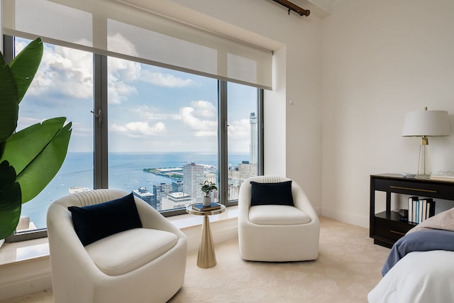 950 N Michigan Ave Unit 4502, Chicago, IL 60611 - bedroom with a water view and carpet floors