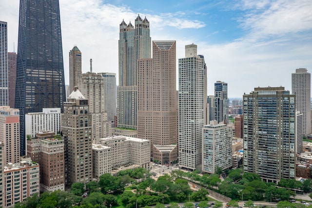 950 N Michigan Ave Unit 4502, Chicago, IL 60611 - view of city skyline
