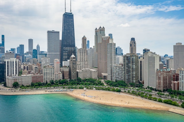 950 N Michigan Ave Unit 4502, Chicago, IL 60611 - view of city skyline with unending shoreline