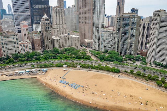 950 N Michigan Ave Unit 4502, Chicago, IL 60611 - skyline view featuring extended coastline