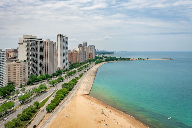 950 N Michigan Ave Unit 4502, Chicago, IL 60611 - water view featuring nearby urban area and nearby beach