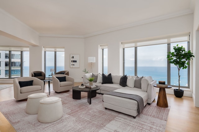 950 N Michigan Ave Unit 4502, Chicago, IL 60611 - living room with healthy amount of natural light, light wood-type flooring, crown molding, and a water view