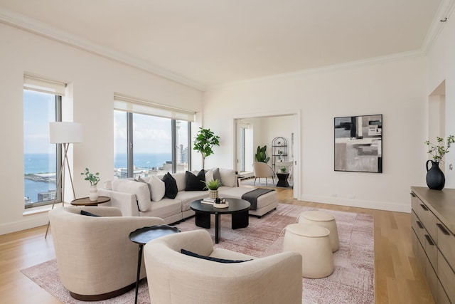 950 N Michigan Ave Unit 4502, Chicago, IL 60611 - living room featuring plenty of natural light, light wood finished floors, crown molding, and a water view