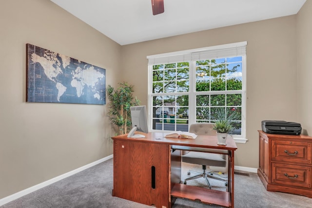 13211 W Sheffield Ln, Beach Park, IL 60083 - photo 6