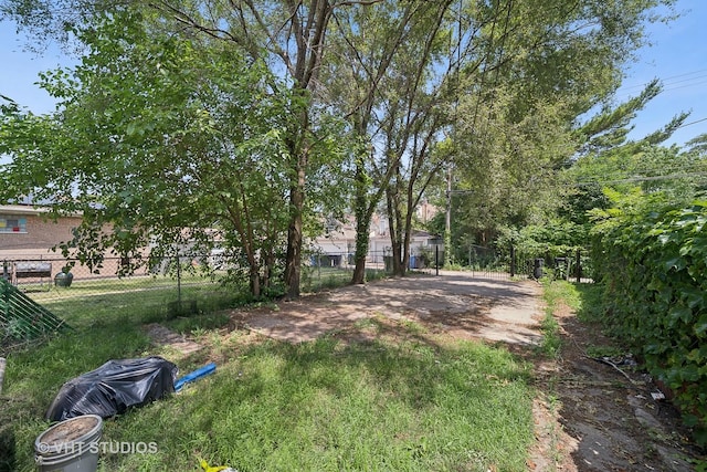 7545 S Rhodes Ave, Chicago, IL 60619 - view of yard