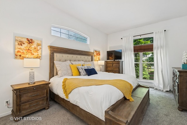 29583 N Birch Ave, Lake Bluff, IL 60044 - view of carpeted bedroom