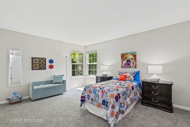 29583 N Birch Ave, Lake Bluff, IL 60044 - bedroom featuring carpet and baseboards