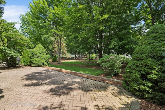 29583 N Birch Ave, Lake Bluff, IL 60044 - surrounding community