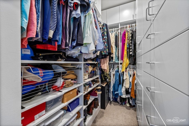 110 W Superior St Unit 1803, Chicago, IL 60654 - walk in closet with carpet flooring