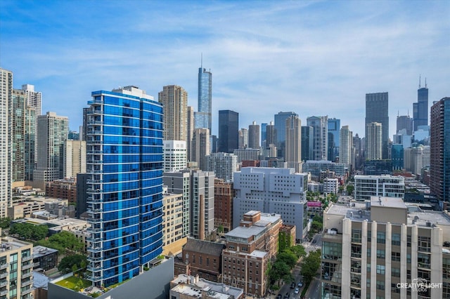 110 W Superior St Unit 1803, Chicago, IL 60654 - skyline view