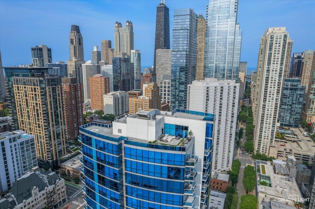110 W Superior St Unit 1803, Chicago, IL 60654 - view of city skyline