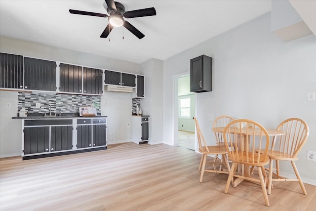 323 N 2nd Ave, Chenoa, IL 61726 - kitchen with light wood finished floors, decorative backsplash, a ceiling fan, and dark cabinets