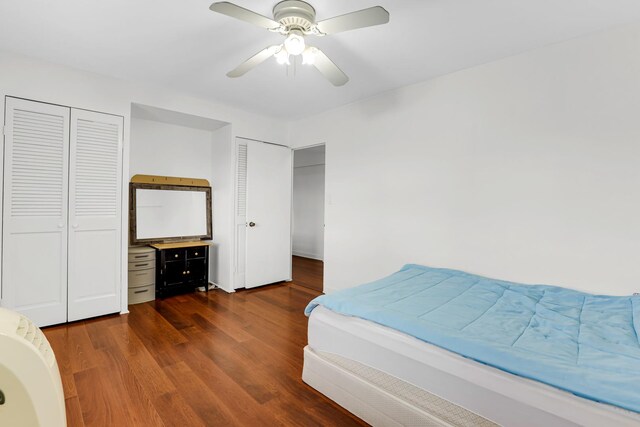 4970 N Marine Dr Unit 822, Chicago, IL 60640 - bedroom featuring two closets, wood finished floors, and ceiling fan