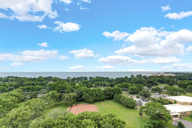 4970 N Marine Dr Unit 822, Chicago, IL 60640 - drone / aerial view of a large body of water