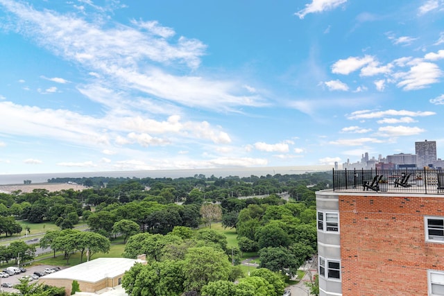 4970 N Marine Dr Unit 822, Chicago, IL 60640 - view of city with a tree filled landscape