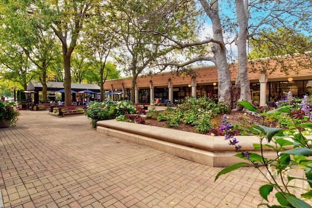 5555 S Everett Ave Unit C14, Chicago, IL 60637 - surrounding community